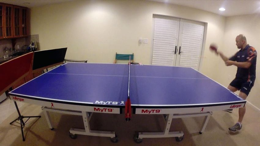 11 ravens ping pong table