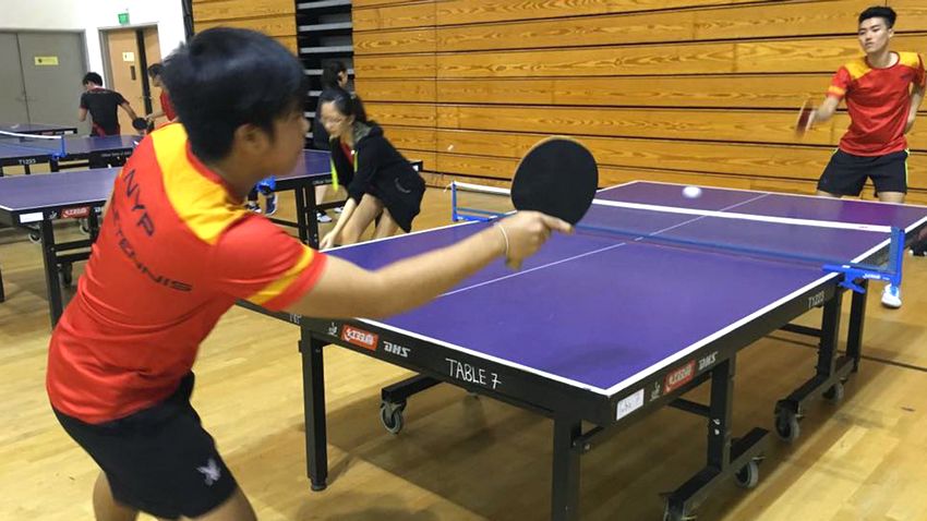 diy ping pong table dimensions