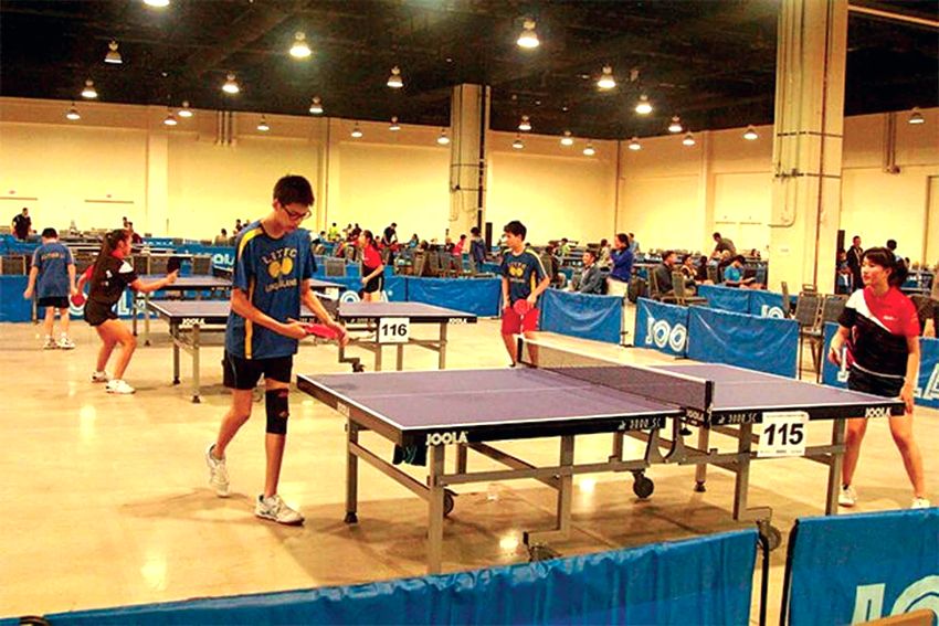 nfm ping pong table