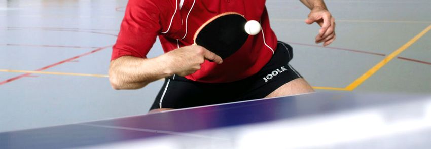 nittaku ping pong table